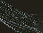 導電性繊維「Flec®」（フレック）