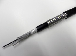 超薄肉SUSコルゲート HXの写真